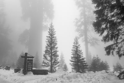 Vacances d'hiver au coeur du parc national de Sequoia